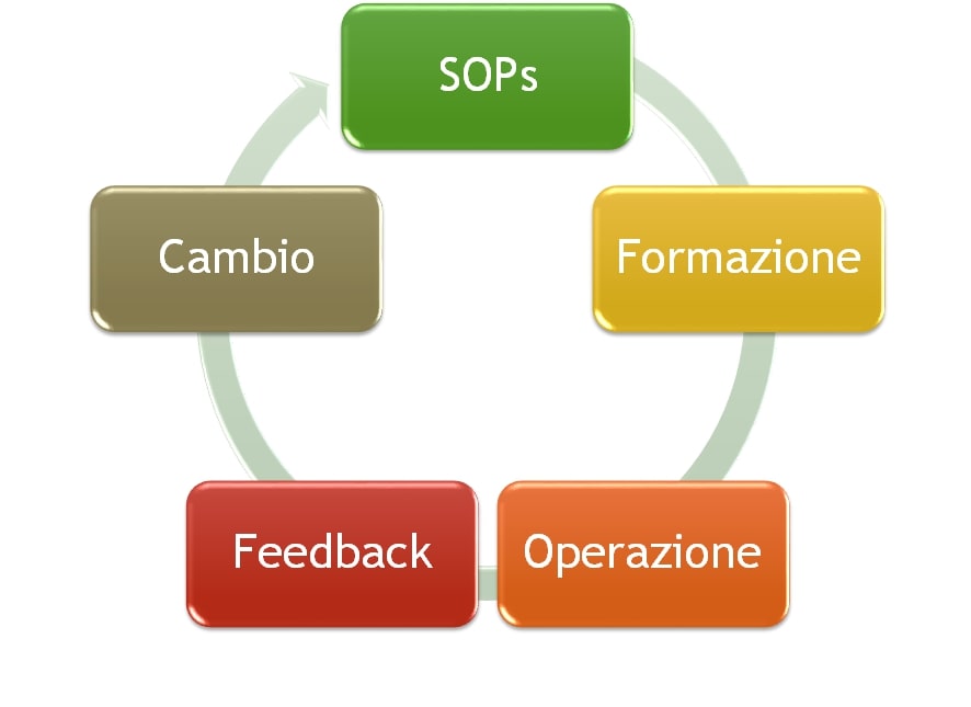 Ciclo di qualità 