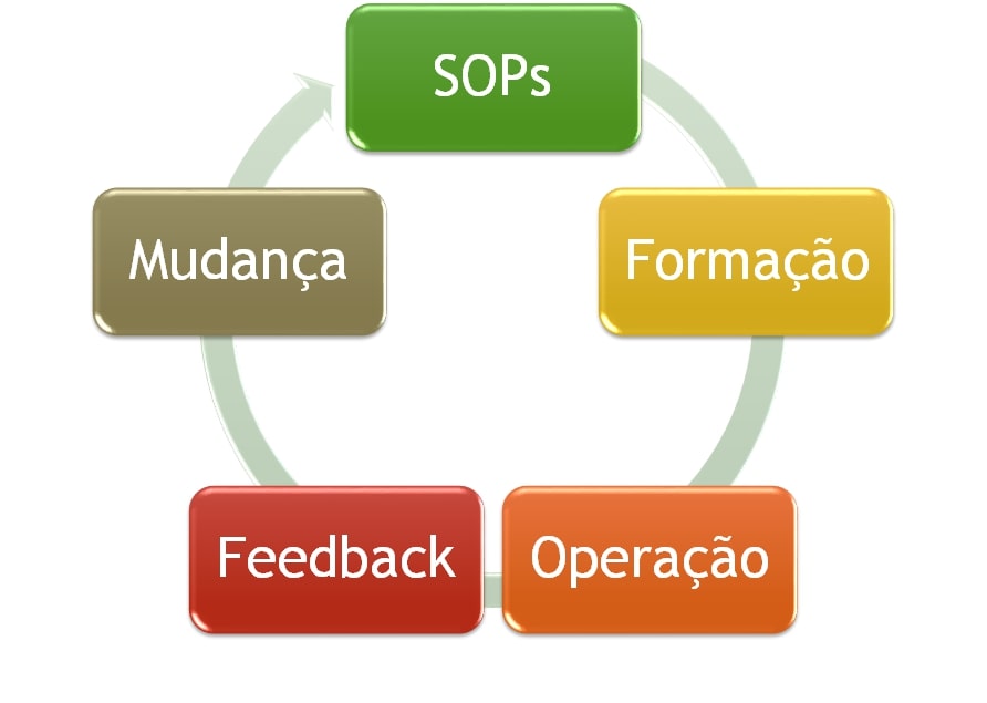 CICLO QUALIDADE