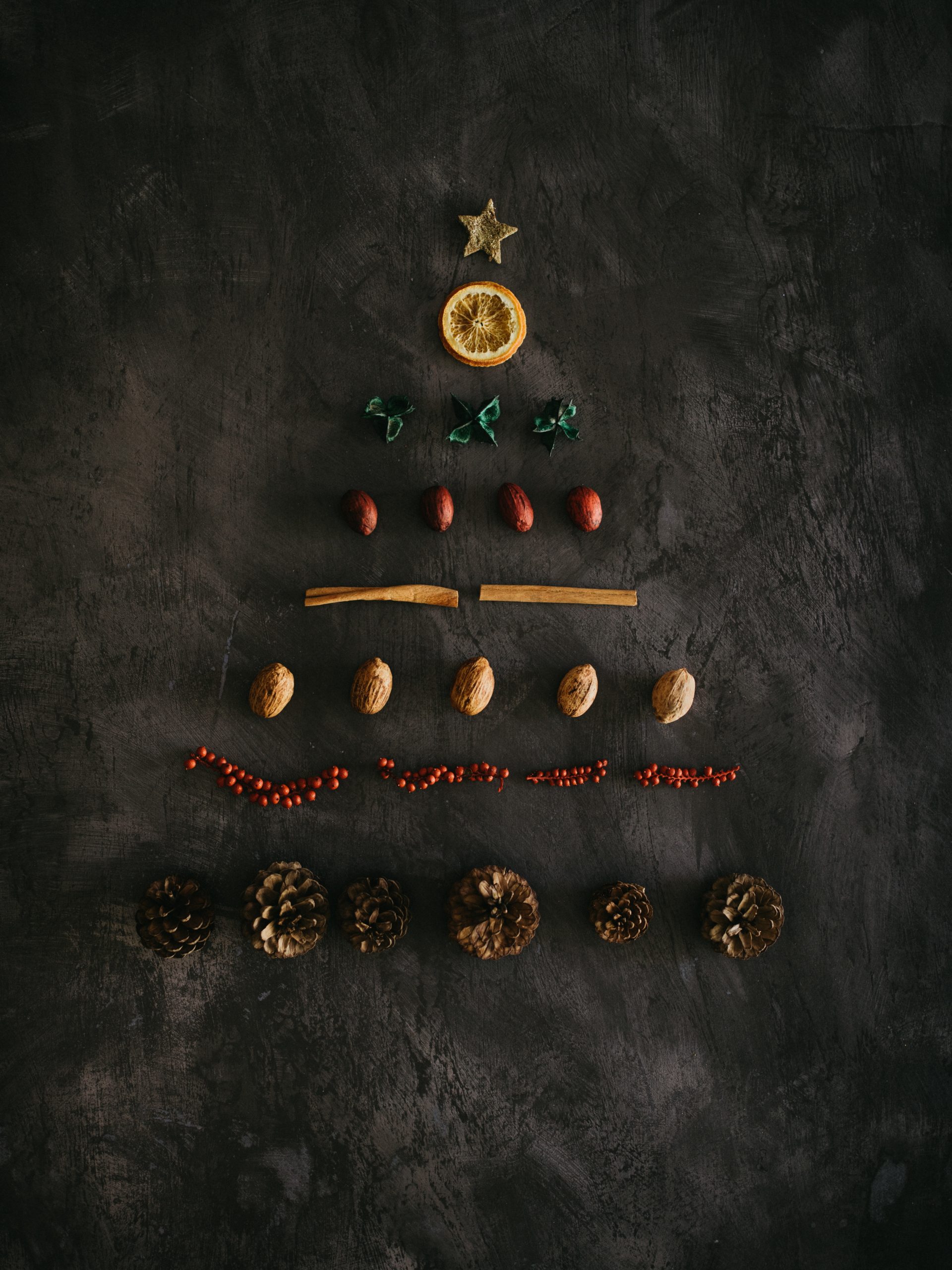 annie-spratt-sTxsuA1iJew-unsplash annie-spratt-sTxsuA1iJew-unsplash