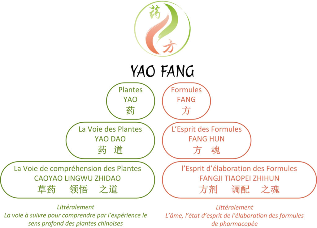 Yao Fang 2